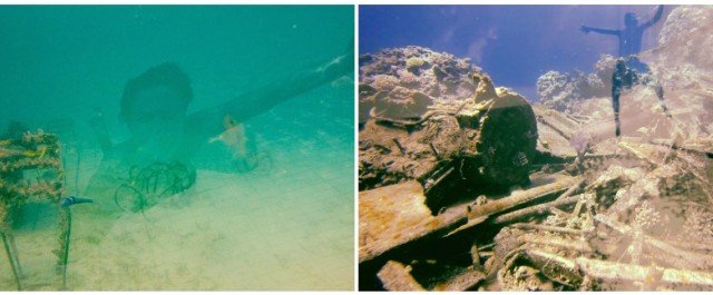 Arte y Ciencia en el Mar